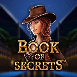 Try Book of Secrets slot by SYNOT Games on spinsinoo.co.nl – logo image